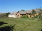 Homrogd030926 053.jpg (85kb)
